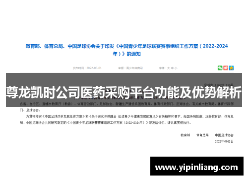 尊龙凯时公司医药采购平台功能及优势解析